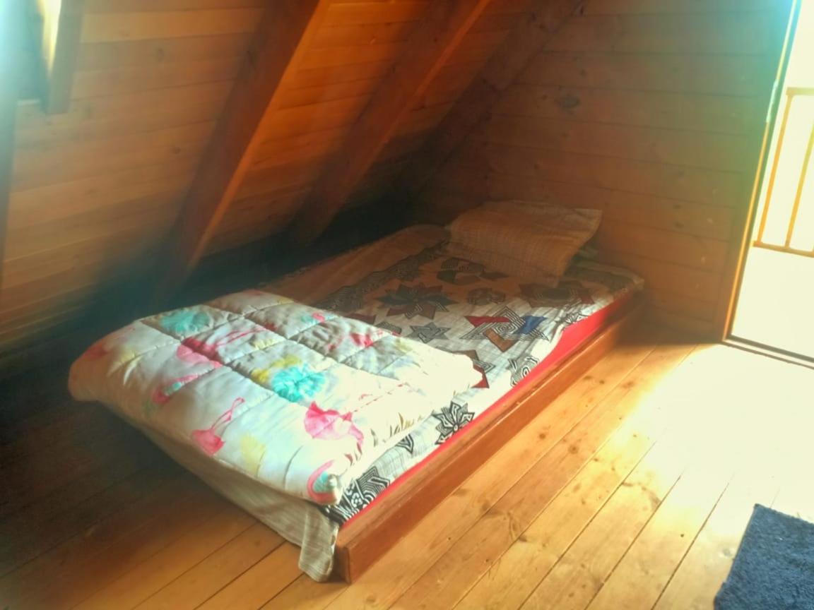 Joy Eco Woodhouse - 5 Bhk House (Adults Only) Villa Ooty Eksteriør billede